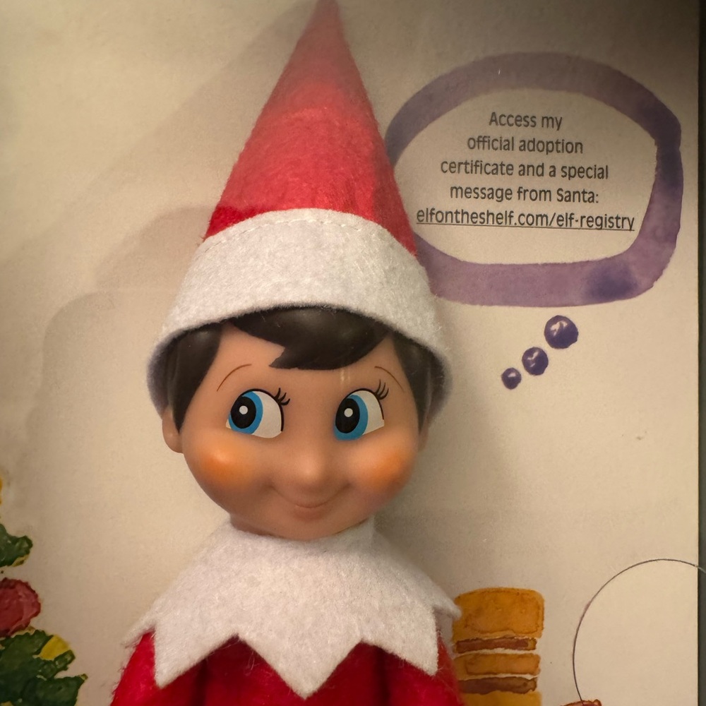 The Elf on the Shelf: A Christmas Tradition Book Set (Boy) - Picture 3 of 8